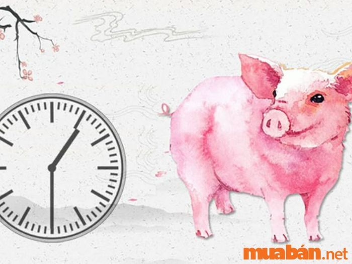 Bé sinh vào giờ Hợi