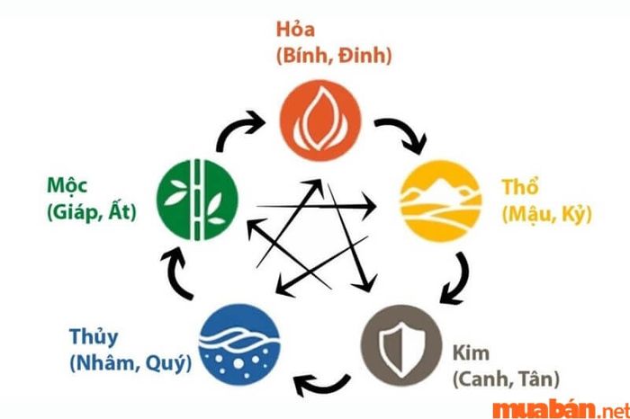 Nữ mạng Quý Hợi 1983 gặp năm 2024 với thiên can Quý (Thủy) và Giáp (Mộc), mối quan hệ này được xem là Bình Hòa, không có sự xung đột rõ rệt.