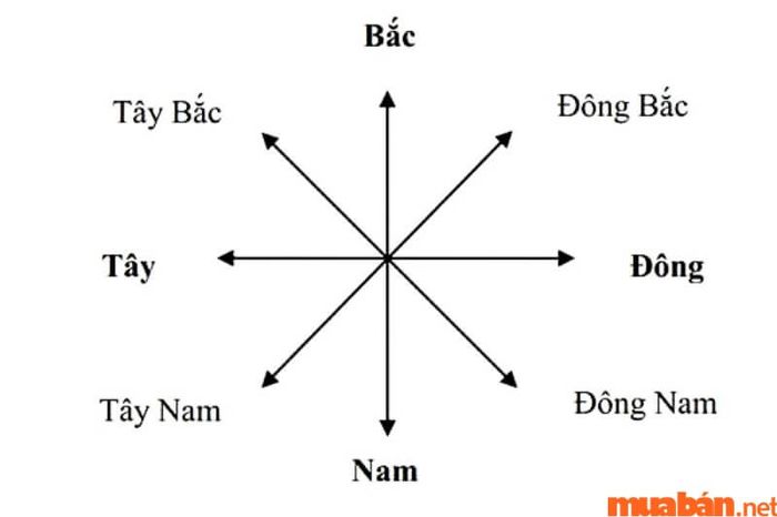 Năm 2024, nữ mạng Quý Hợi 1983 nếu chọn được hướng xuất hành phù hợp sẽ dễ dàng gặp may mắn và thuận lợi trong mọi việc.