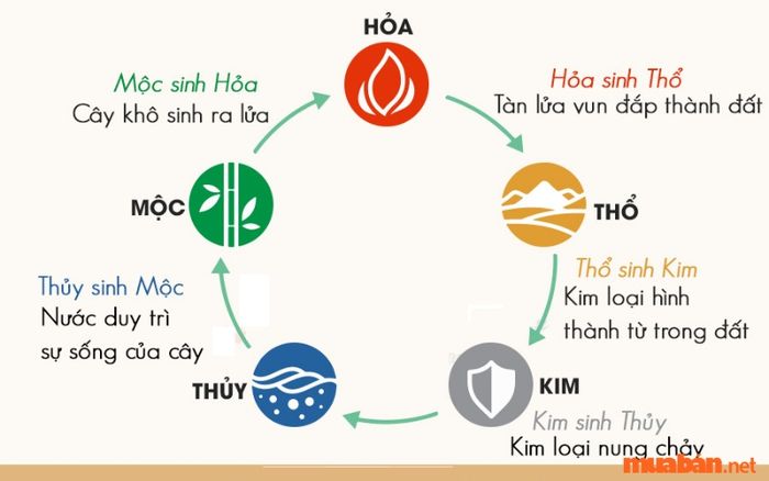 Ngũ hành và tử vi của nữ Mậu Thân 1968 trong năm 2024