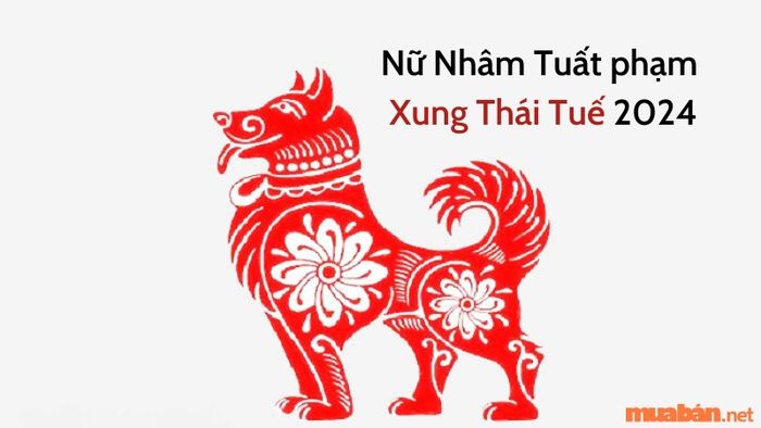 Những câu hỏi phổ biến về tử vi Nhâm Tuất nữ mạng