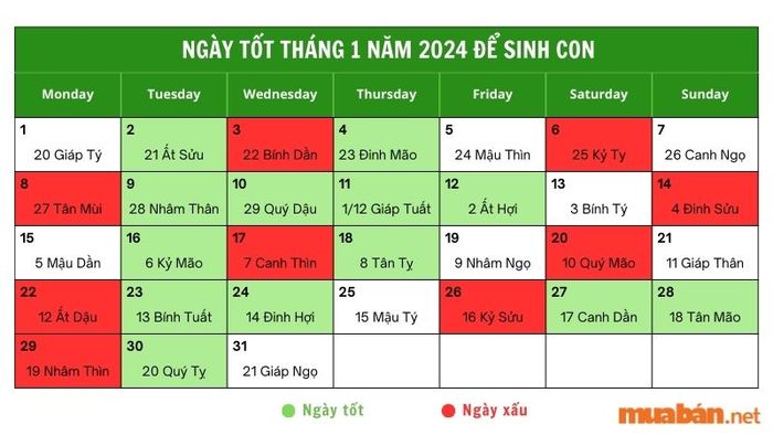 Chọn Ngày Giờ Sinh Con Hợp Tuổi Bố Mẹ - Lợi Ích, Cách Tính và Lưu Ý Quan Trọng