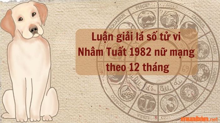 Phân tích chi tiết lá số tử vi của nữ mạng Nhâm Tuất 1982 theo từng tháng trong năm.