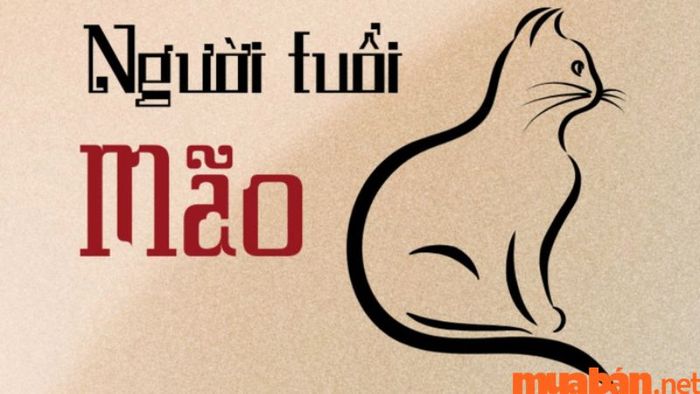 Phân tích tử vi Quý Mão 1963 nữ mạng năm 2024