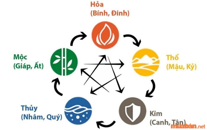 Tử vi Nhâm Tuất 1982 nữ mạng theo thiên can