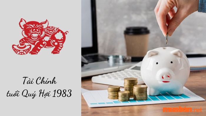 Nam mạng Quý Hợi sinh năm 1983 cần chú trọng đến việc quản lý và tiết kiệm tài chính trong năm 2024.
