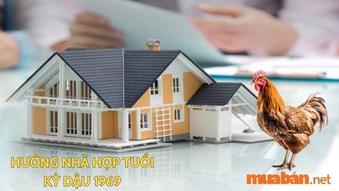 Người tuổi Dậu nên chọn hướng nhà nào? Cùng tìm hiểu hướng nhà hợp với gia chủ tuổi Kỷ Dậu 1969.