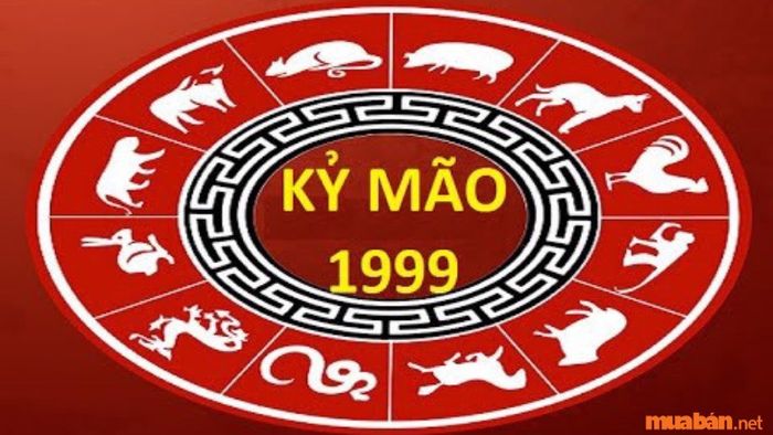 Các hướng tốt cho nam Kỷ Mão