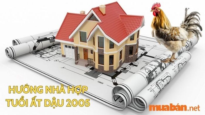 Tuổi Dậu hợp hướng nào? Hướng nhà hợp tuổi Ất Dậu 2005