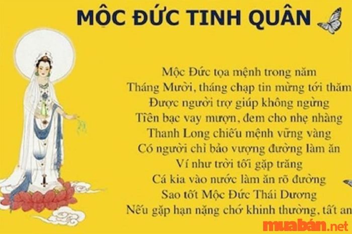 Tử vi Đinh Hợi 2007 nam mạng năm 2024 sẽ có sao Mộc Đức chiếu mạng, mang đến nhiều điều may mắn.