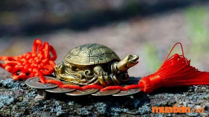 Sử dụng vật phẩm phong thủy - Cách hóa giải nhà không hợp hướng cho người tuổi Dậu