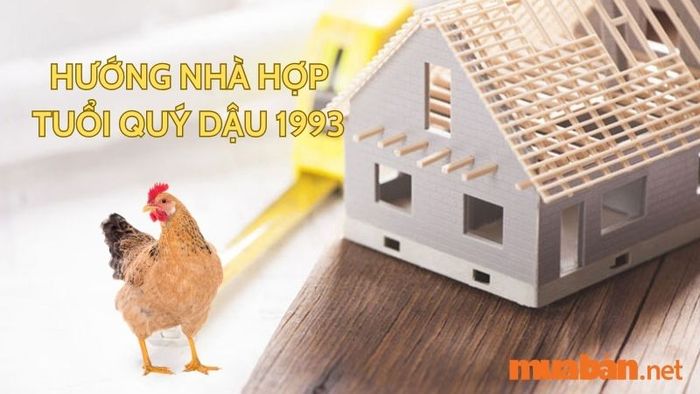 Tuổi Dậu hợp hướng nào? Hướng nhà phù hợp với tuổi Quý Dậu 1993