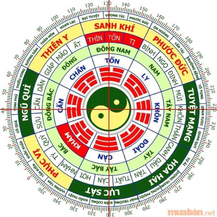Cung phi của nam mạng Canh Thân 1980