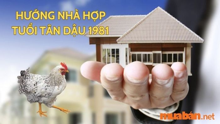 Tuổi Dậu hợp hướng nào? Hướng nhà hợp tuổi Tân Dậu 1981