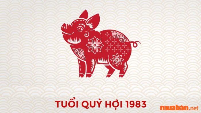 Dự đoán tử vi nam mạng Quý Hợi 1983 trong năm 2024: Liệu có gặp may mắn hay không?