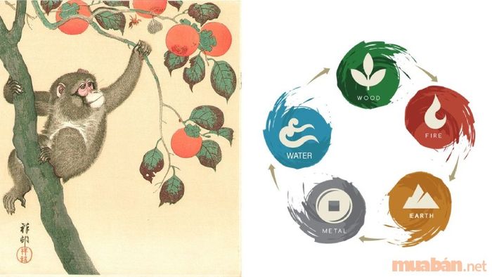 Tử vi Canh Thân 1980 xét theo ngũ hành