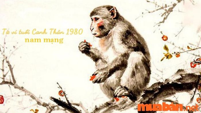 Tử vi của nam mạng Canh Thân 1980 trong năm 2024