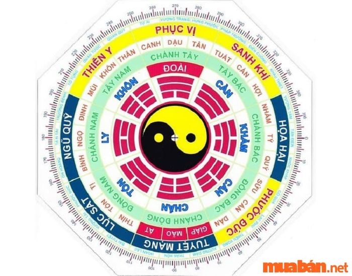 Tử vi Đinh Hợi 2007 nam mạng năm 2024 theo cung phi