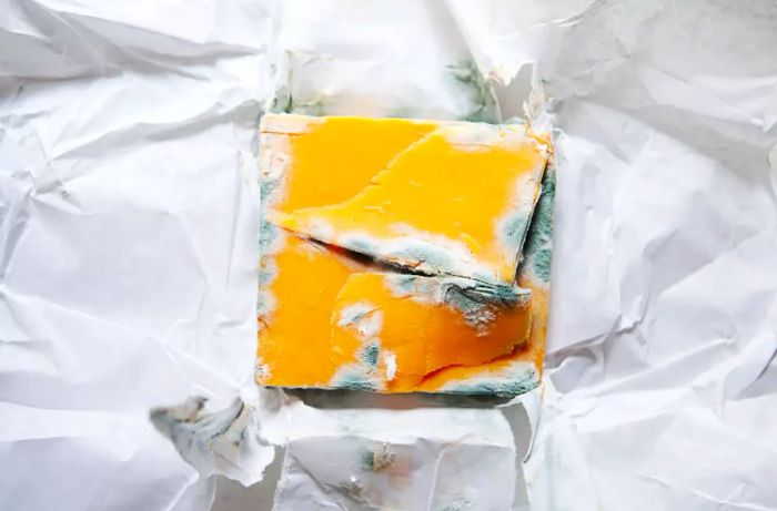 Moldy Cheese