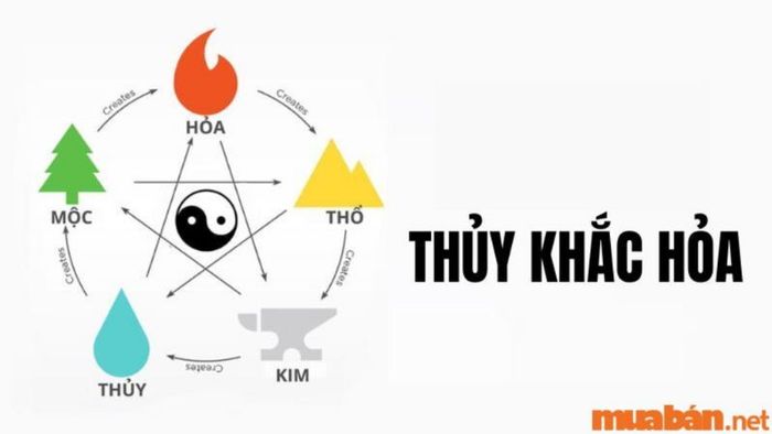 Với người tuổi Quý Hợi mang hành Thủy, năm 2024 sẽ gặp không ít khó khăn, vì ngũ hành Hỏa trong năm này sẽ khắc chế với hành Thủy của bạn.