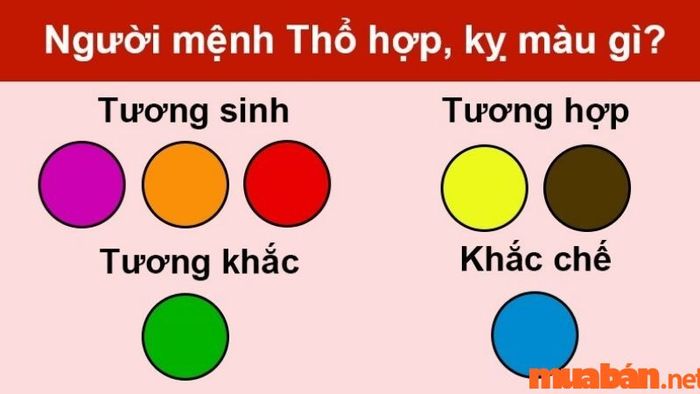 Tử vi tuổi Đinh Hợi 2007 nam mạng năm 2024