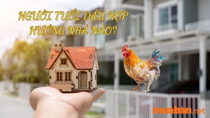 Người tuổi Dậu nên chọn hướng nhà nào? Chọn đúng hướng sẽ giúp mang lại tài lộc, may mắn cho gia chủ, giúp công việc và cuộc sống trở nên thuận lợi hơn.