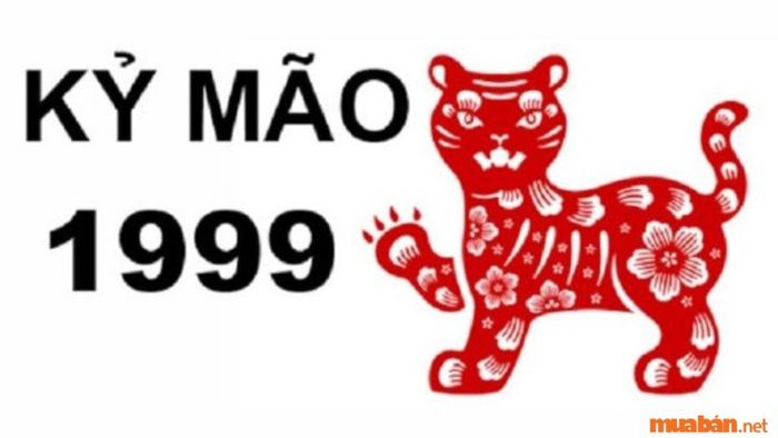 Hướng nhà nào phù hợp với tuổi Kỷ Mão? Tìm hiểu phong thủy để tăng cường tài lộc và may mắn