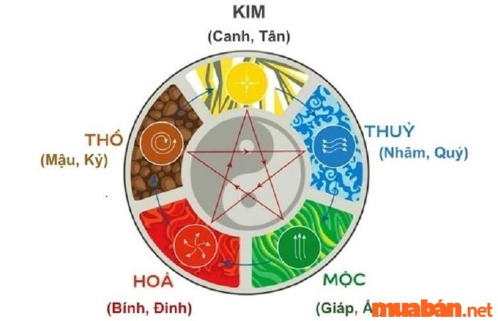 Tử vi Đinh Hợi 2007 nam mạng năm 2024 dựa trên thiên can
