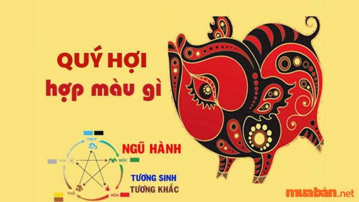 Màu sắc hợp với tuổi Quý Hợi để thu hút tài lộc và vận may.
