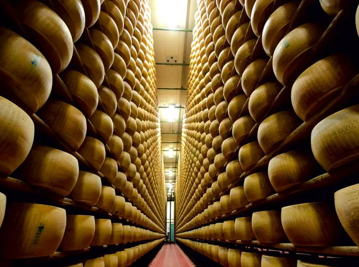 Shelves from floor to ceiling filled with wheels of Parmigiano Reggiano