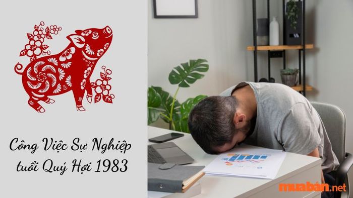 Người tuổi Quý Hợi thuộc mệnh Thủy sẽ phải đối mặt với nhiều thử thách trong năm Giáp Thìn.