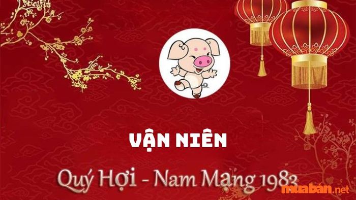 Vận niên của nam mạng tuổi Quý Hợi 1983.