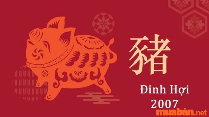 Một số câu hỏi thường gặp về tử vi Đinh Hợi 2007 nam mạng năm 2024