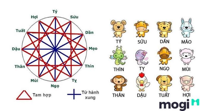 Tam hợp là sự kết hợp của 3 con giáp tương hợp với nhau.