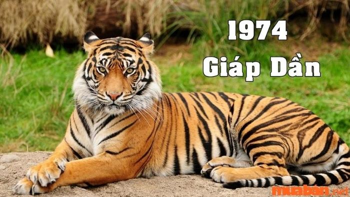 Người sinh năm 1974 thuộc cung gì?