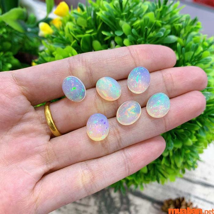 Opal còn được gọi là đá mắt mèo, với những đặc tính độc đáo và giá trị phong thủy riêng biệt.