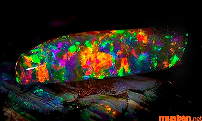 Việc định giá Opal phụ thuộc vào nhiều yếu tố khác nhau.