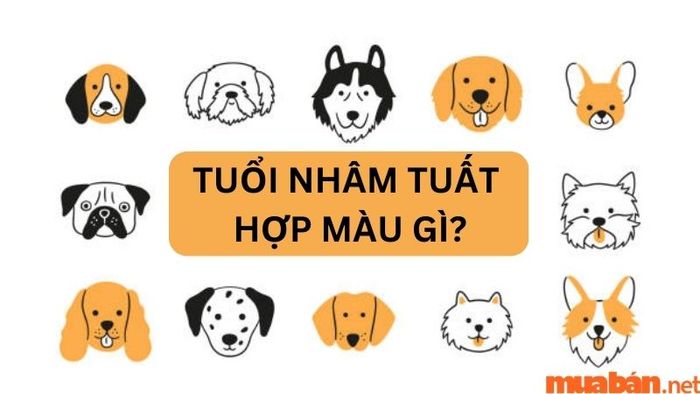 Hãy cùng Mytour tìm hiểu xem tuổi Nhâm Tuất hợp với màu gì nhé!