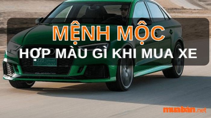 Màu sắc xe như đen, xanh dương và xanh lá là sự lựa chọn tối ưu cho những người thuộc mệnh Mộc.