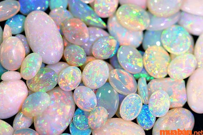 Opal không chỉ đẹp mắt mà còn mang ý nghĩa phong thủy sâu sắc và giá trị thẩm mỹ vượt trội.