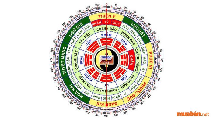 Tiên đồ của Bát Quái