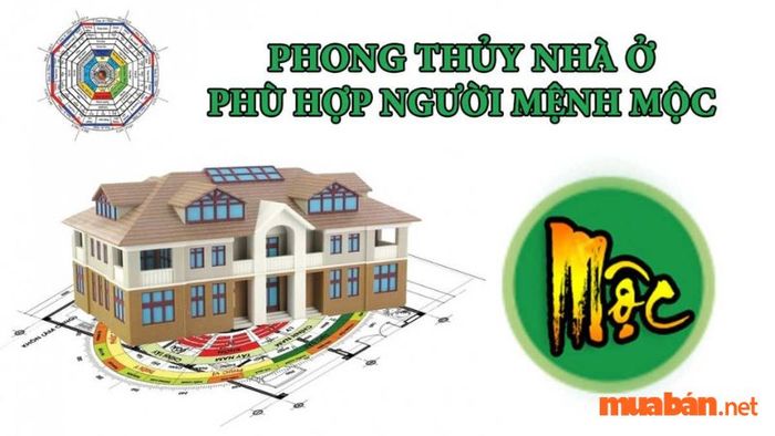 Người mệnh Mộc nên chọn hướng nào khi xây dựng nhà cửa?