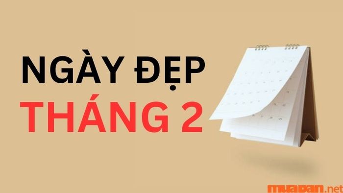 Những ngày đẹp trong tháng 2 năm 2024 là các ngày sau: 2, 4, 5, 8, 9, 10, 11, 13, 16, 18, 19, 22, 23, 25 và 28.
