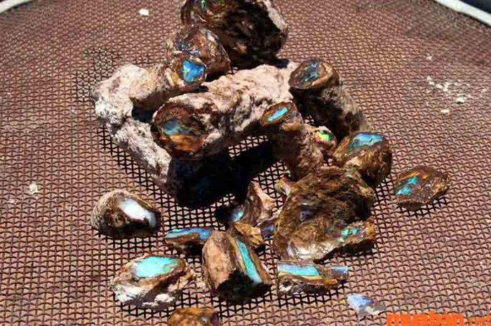 Opal có độ cứng ở mức trung bình.