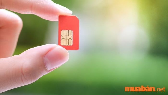 Người mệnh Hỏa nên lựa chọn số điện thoại nào để mang lại may mắn?