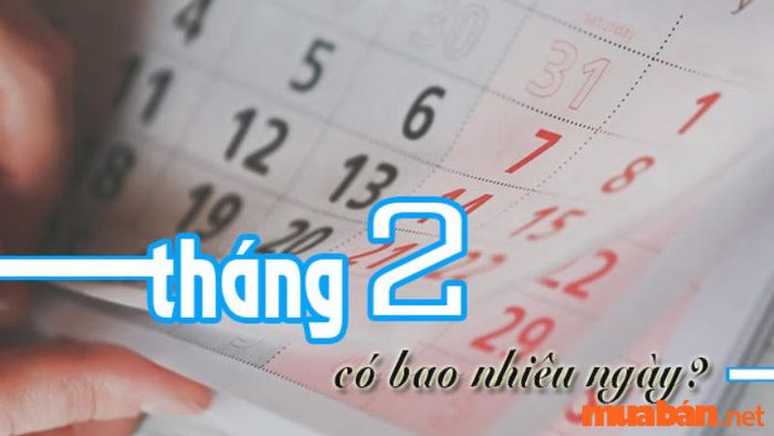 Tháng 2 năm 2024 có bao nhiêu ngày? Tìm hiểu về những ngày đẹp và xấu của tháng này.