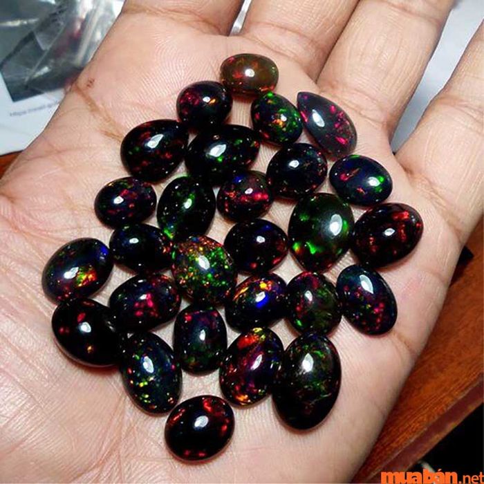 Opal đen là viên đá quý có giá trị vô cùng cao nhất trong số các loại đá Opal.