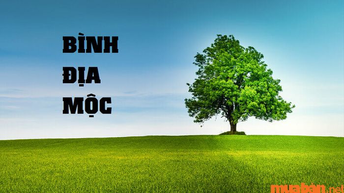Bình Địa Mộc