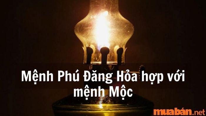 Mệnh Phú Đăng Hỏa và mệnh Mộc tương hợp nhau