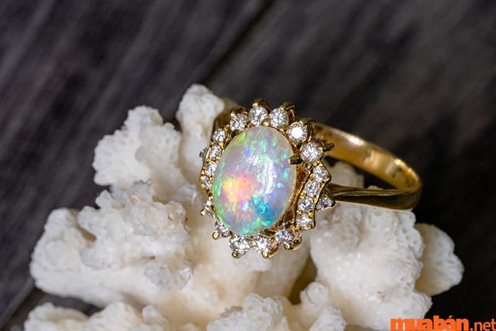 Đá mắt mèo Opal được sử dụng rộng rãi trong chế tác các món trang sức cao cấp.
